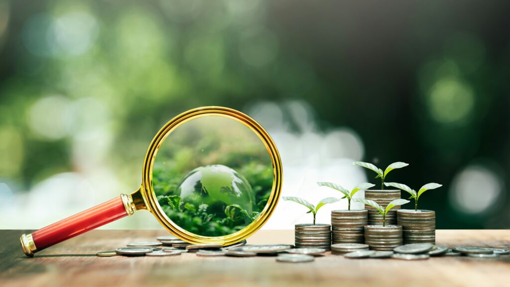 green investment sustainable future A seedling is growing on a coin lying on the ground.