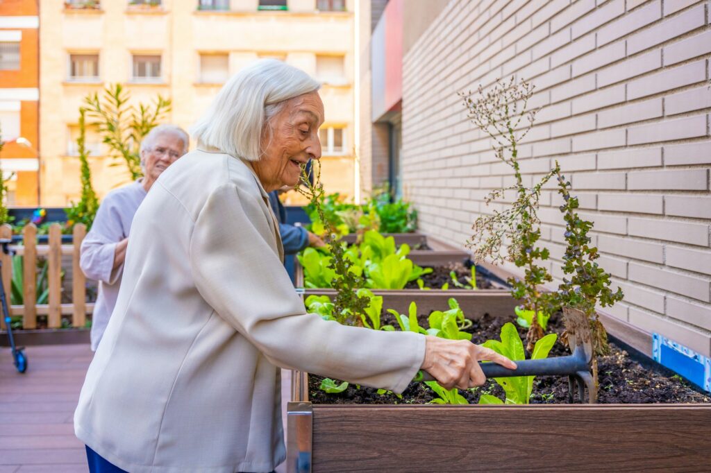 Seniors planting vegetables in an urban garden in a geriatric